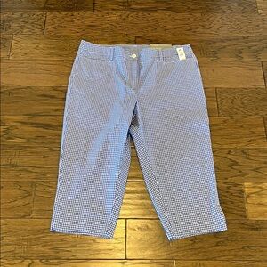 Talbots Perfect Skimmer High Rise NWT Size 14P